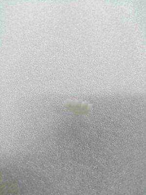 pièces détachées de caisse 252029017P200 BNF Spur Gear 12T-24DP ATM Caisse de rechange